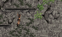 Lara Croft – Tomb Raider Legend (U)(Sir VG)