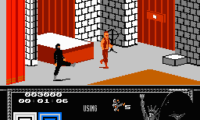 Last Ninja, The (USA)