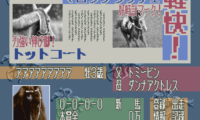 Leading Jockey (Japan)