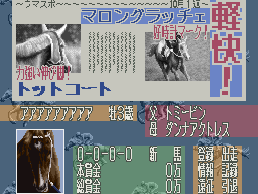 Leading Jockey (Japan)