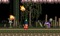 Legend of the Mystical Ninja, The (USA)