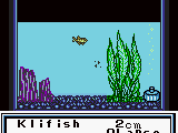 Legend of the River King GB (USA)
