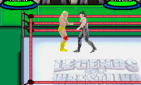 Legends of Wrestling 2 (U)(Venom)