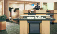 Lethal Enforcers (Europe)