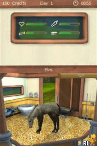 Let’s Ride – Friends Forever (USA)