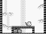 Lucky Monkey (Japan)