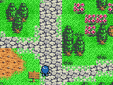 Lufia – The Legend Returns (USA)