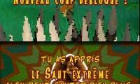 Madagascar 2 (France)