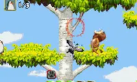 Madagascar (U)(TrashMan)