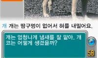 MagicQ DS (Korea)