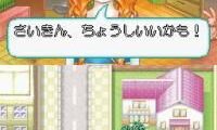 Manga-ka Debut Monogatari DS – Akogare! Manga-ka Ikusei Game (Japan)