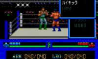 Maniac Puroresu – Asu heno Tatakai (Japan)