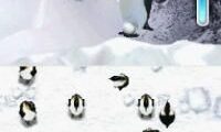 March of the Penguins (USA)