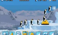 March of the Penguins (U)(Sir VG)