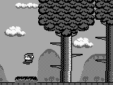Maru’s Mission (USA)