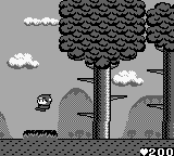 Maru’s Mission (USA)
