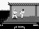 Master Karateka (Japan)