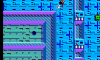 Maze Walker (Japan)