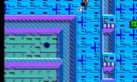 Maze Walker (Japan)