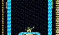 Mega Man 4 (USA) [Hack by Insectduel v1.0] (~Megaman Showdown IV EX – Hard) (Boss Mode)