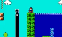 Megaman in the Mushroom Kingdom