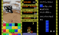 MegaPanel (Japan)