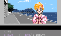 Metal Slader Glory (Japan)