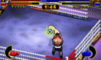 Mike Tyson Boxing (U)(Independent)
