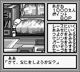 Mini 4 Boy II – Final Evolution (Japan)