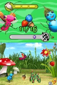 Miss Spider’s Sunny Patch Friends – Harvest Time Hop and Fly (USA) (En,Fr,Es)
