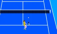 Moero!! Pro Tennis (Japan)
