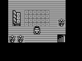 Monster Race (Japan)