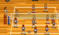 Multi Play Volleyball (Japan)