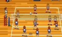 Multi Play Volleyball (Japan)