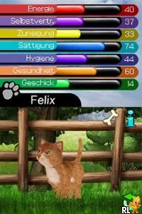 My Best Friends – Cats & Dogs (Europe) (En,Fr,De,Es,It)