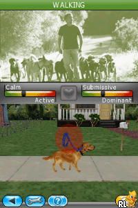My Dog Coach – Understand Your Dog with Cesar Millan (Europe) (En,Fr,Es)