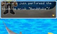 My Pet Dolphin (Europe) (En,Fr,De,Es,It)