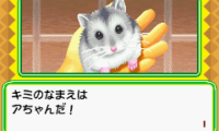Nakayoshi Pet Advance Series 1 Kawaii Hamster (J)(Chakky)