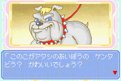 Nakayoshi Pet Advance Series 4 – Kawaii Koinu Kogatainuhen (J)(Evasion)