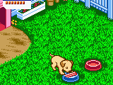 Nakayoshi Pet Series 3 – Kawaii Koinu (Japan)