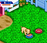 Nakayoshi Pet Series 3 – Kawaii Koinu (Japan)