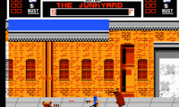 NARC (USA)