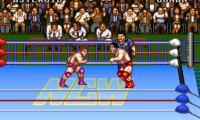Natsume Championship Wrestling (USA)