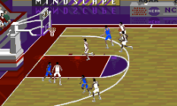 NCAA Final Four Basketball (USA)