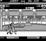 Nettou The King of Fighters ’96 (Japan)