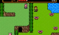 Neutopia II (Japan)