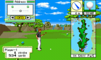 New 3D Golf Simulation Devil’s Course (Japan)