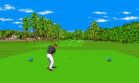 New 3D Golf Simulation Harukanaru Augusta (Japan)