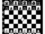 New Chessmaster, The (USA)