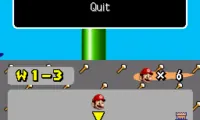 New Super Mario Bros. Adventure (Exploratory)